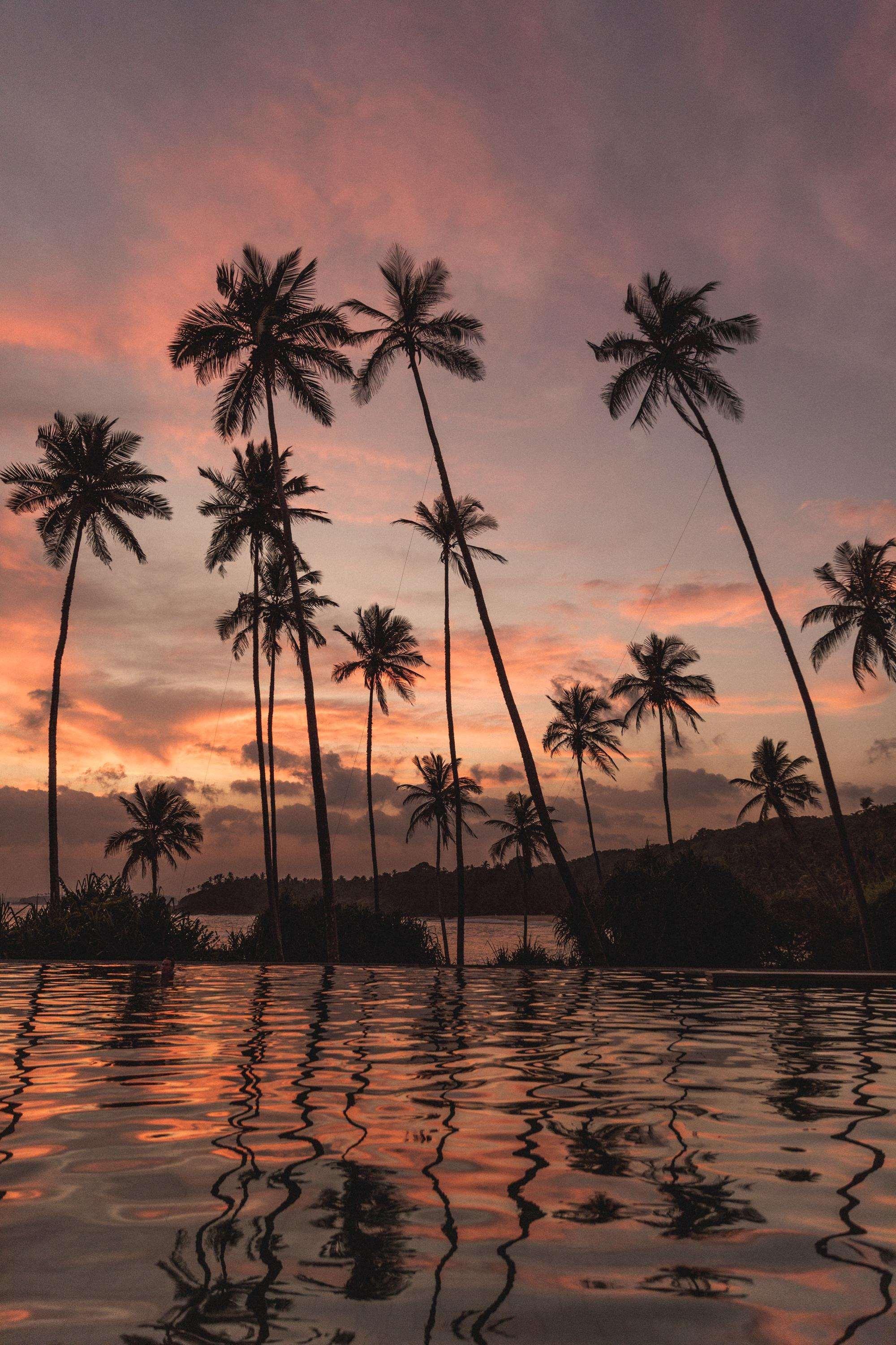 ホテル Amanwella タンガラ エクステリア 写真